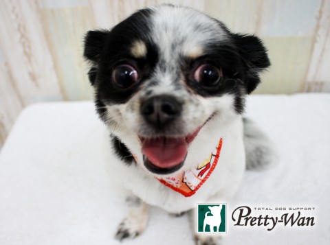 イトウユズ160424