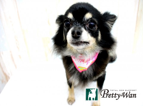 イケダチマキ160430