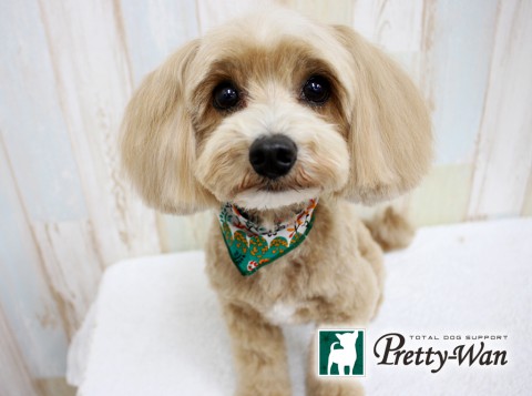 カトウランマル160502