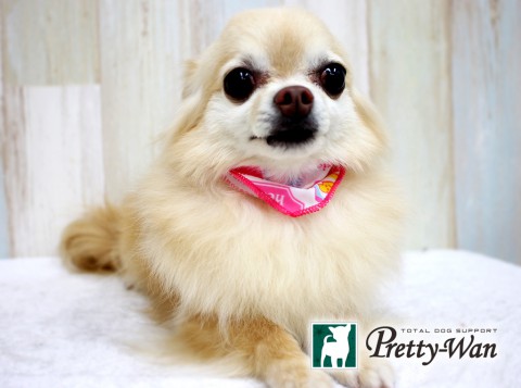 イシダラブ160426