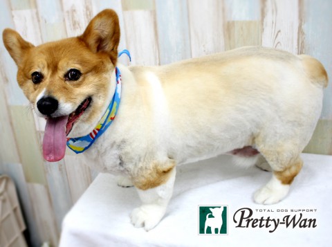 タカセコウ160422