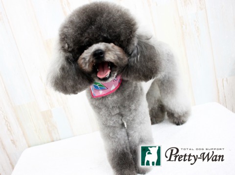 フクタティアラ160521