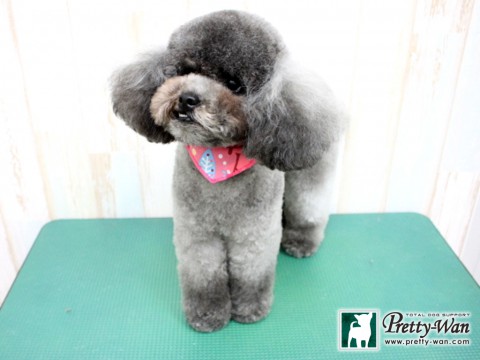 フクダティアラ160201