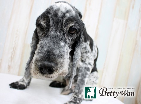 マノエリック160410