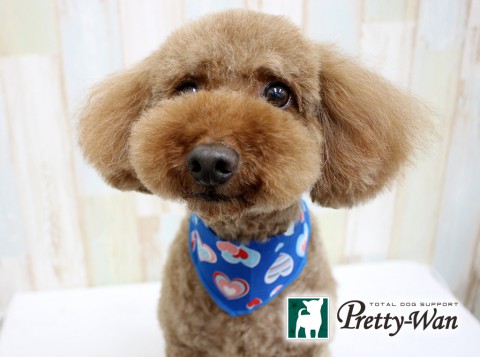 ゴトウモカ160626