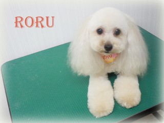 コモタロール150729