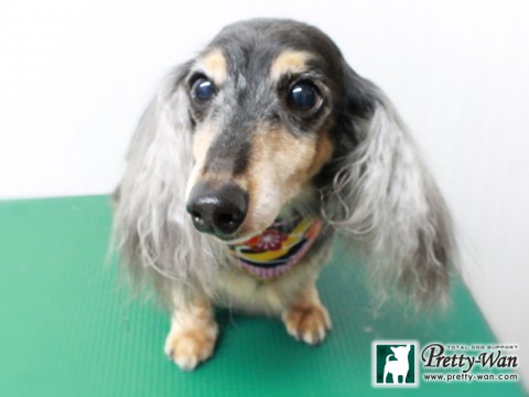 カワモトコウセツ151231