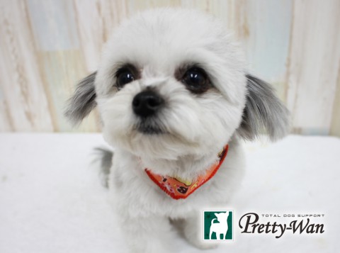 キヤカワウチルナ160420