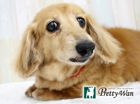 タバタアイ160614