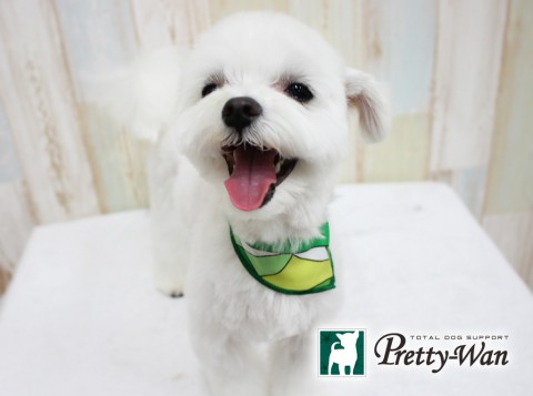 モリミゾレ160410