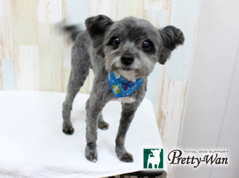 タカハシベア160221