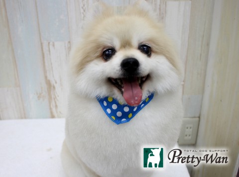 オダマメタロウ160608