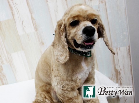 キムラチョコ160513