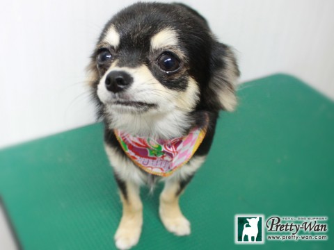 カンダルーク151229