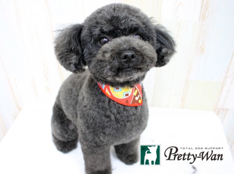 カトウココ160412