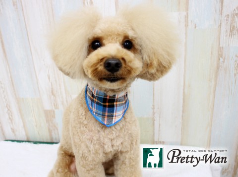 イマイカール160503