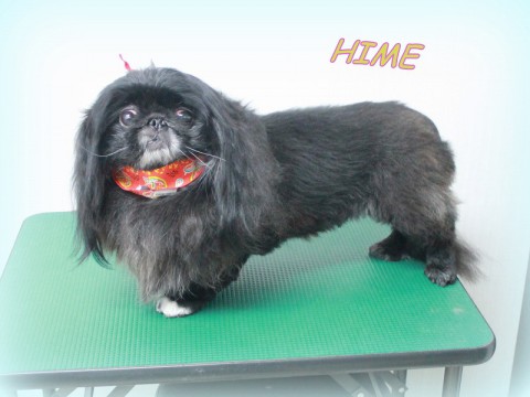 4月25日吉田ヒメ