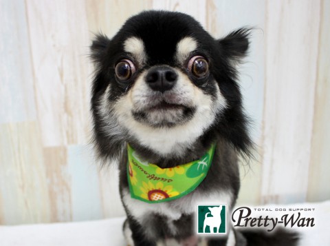 ワタナベホクト160625