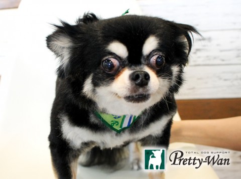 ササキチッチ160618