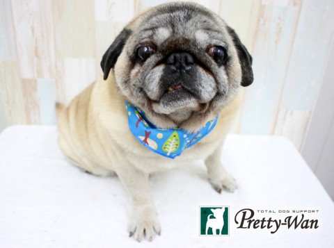 マキノゴエモン160220