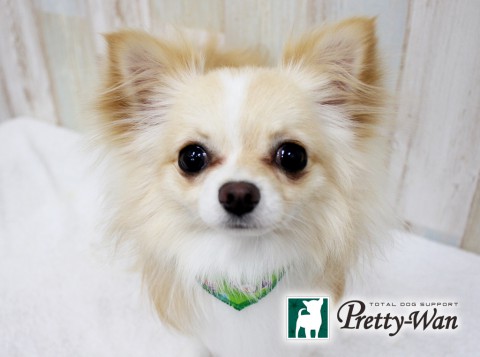 オガワフク160604