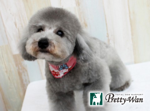 イノウエポンポ160406