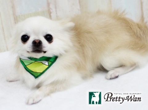 マツダルイ160409