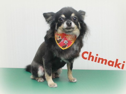 IMG_0288