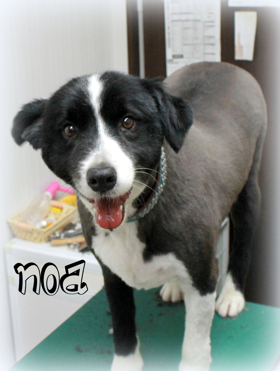 だぁぁれだ プリティー ワン