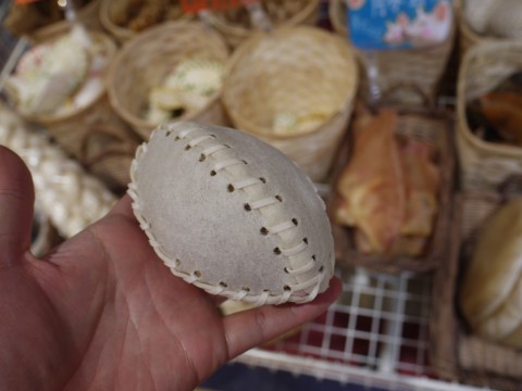P1270209