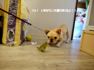P1380433