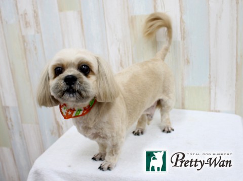 トウボウリュウ160306