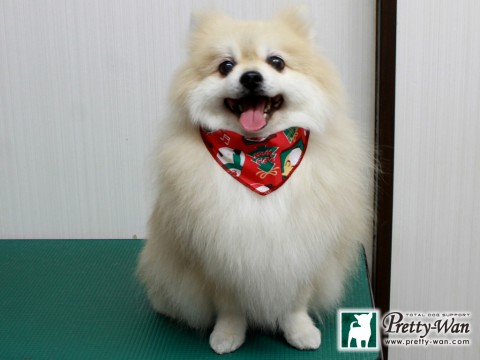 オダマメタロウ151221