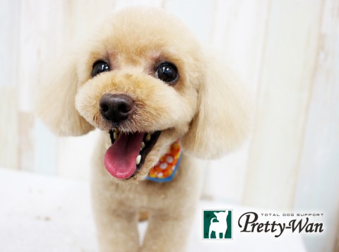 タカセリリー160517