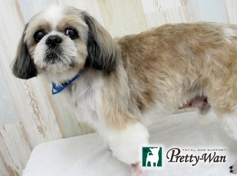 クリハラサブ160605