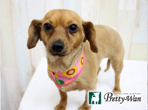 ナカムラユラ20160621