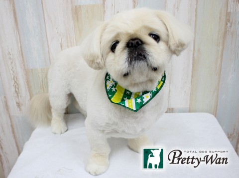 ヒシカワゴエモン160302