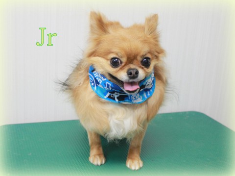 4月12日池田ジュニア