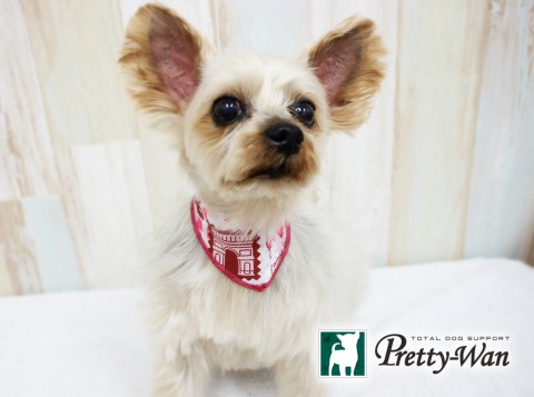 オカベハッピー160508