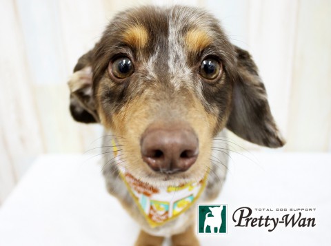 エグチルネ160531