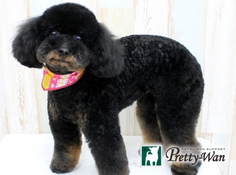 エノモトベア160411