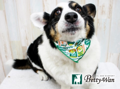 イイミソラ160522