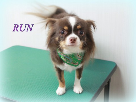 4月21日黒川ルン