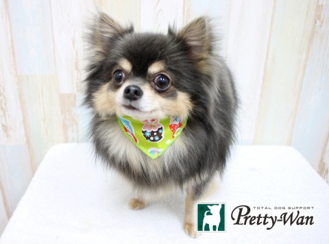 キムラアラシ160314