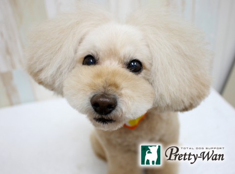 マエハラココ160525