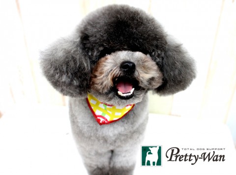 フクタティアラ160425