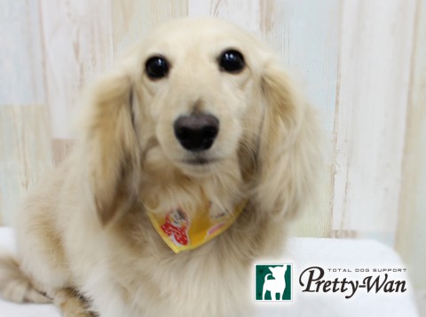 ツルタココ160326