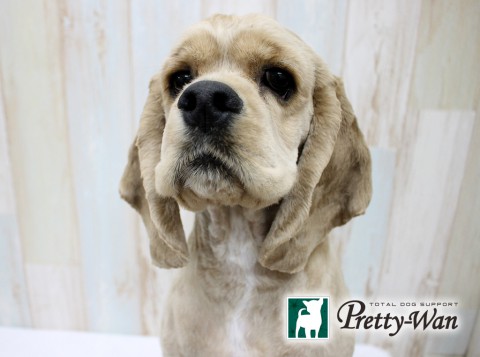 サイトウイチノスケ160608