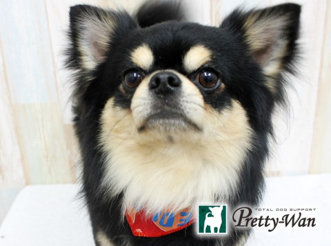 ミウラリュウ160531