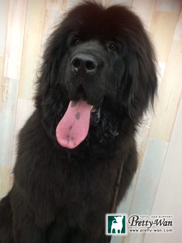 %e5%90%8d%e7%a7%b0%e6%9c%aa%e8%a8%ad%e5%ae%9a-1